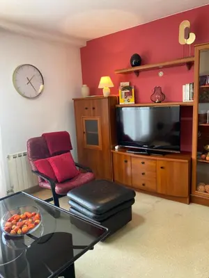 Una televisión o centro de entretenimiento en Apartamentos Alcañiz, Silvia