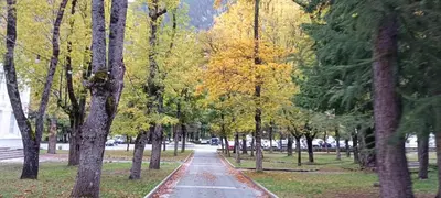 Paisaje cerca de este apartamento
