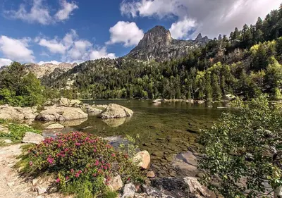 Paisaje cerca de este apartamento