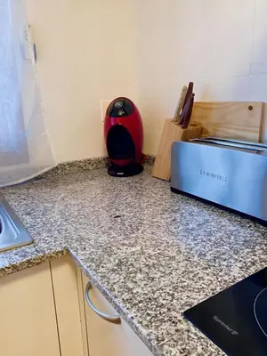 Una cocina o zona de cocina en Apartament dúplex amb vistes al Pirineu català