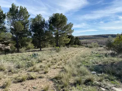 Paisaje cerca de este bed & breakfast