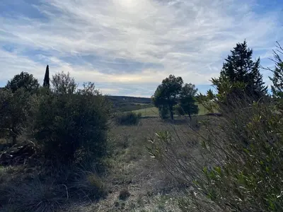 Paisaje cerca de este bed & breakfast