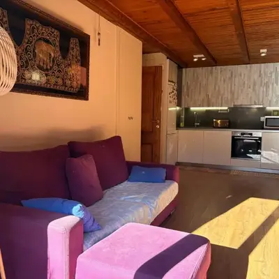 Bajo con jardín privado y chimenea - Puig Falcó 2
