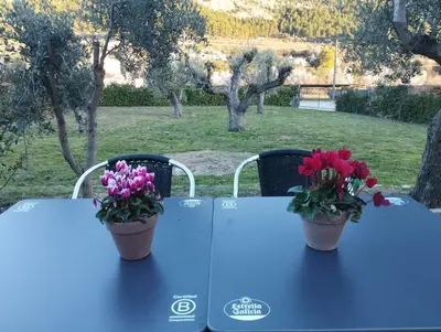 Jardín al aire libre en Fonda Aparicio