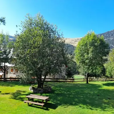 Ambiente de montaña- Chimenea