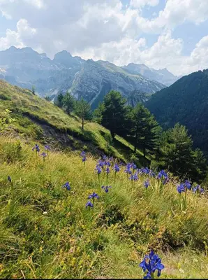 Paisaje cerca de este apartamento