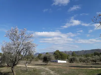 Paisaje cerca de esta casa o chalet
