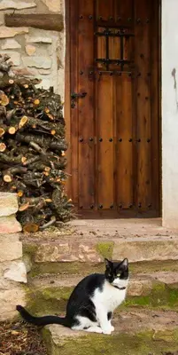 Mascotas con sus dueños en Casa Rural Los Lilos