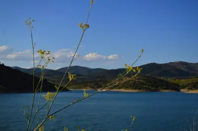 Paisaje cerca of this country house