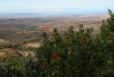 Paisaje cerca de este apartamento