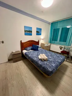 Cama o camas de una habitación en ZARAGOZA CENTRAL APARTMENT