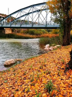 Vista de un río cerca de este apartamento