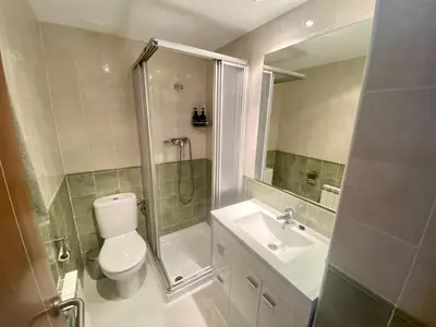Un baño de Apartamento Balcón del Ésera