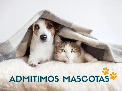 Mascotas con sus dueños en Apartamentos Escarrilla Suites 3000