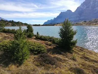Paisaje cerca de este apartamento