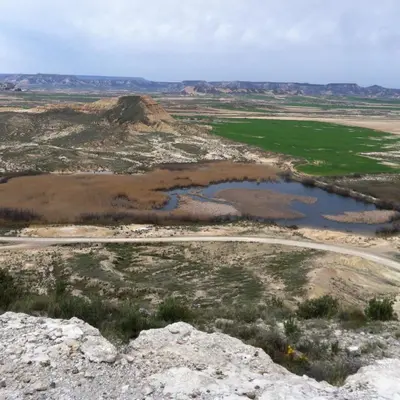 Paisaje cerca de este apartamento