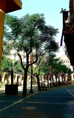 El barrio de los alrededores o un barrio cerca de este apartamento