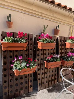 Plano de CASA DE LA BODEGA
