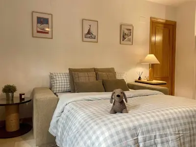 Cama o camas de una habitación en Bitxilore, Biescas con terraza y petfriendly