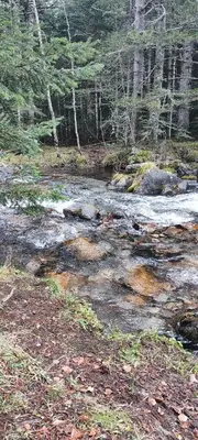 Paisaje cerca de este apartamento