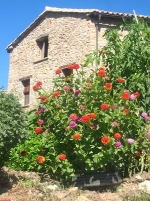 Jardín al aire libre en Casa L'Apargatero