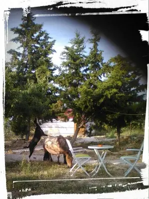Plano de Campo de Reyes