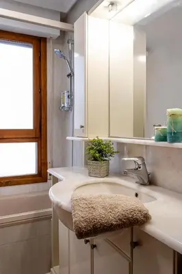 Un baño de Apartamento Baztangoa II