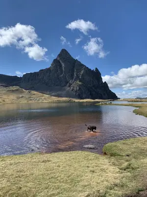 Paisaje cerca de este apartamento