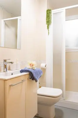 Un baño de Los Sauces Pamplona Hospitales Universidad