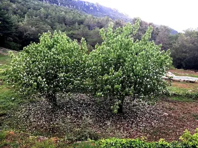 Paisaje cerca de esta casa o chalet