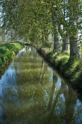 Paisaje cerca de este apartamento