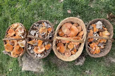 Comida en o cerca de este apartamento