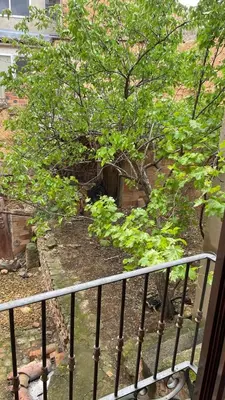 Jardín al aire libre en Maison de village proche de Margalef