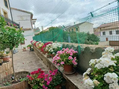 Jardín al aire libre en CASA RURAL SANCHO