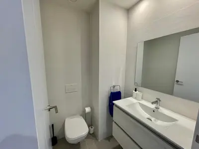 Un baño de Alfonso I el Batallador