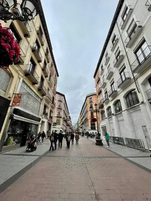 El barrio de los alrededores o un barrio cerca de este apartamento