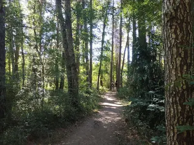 Paisaje cerca de este apartamento