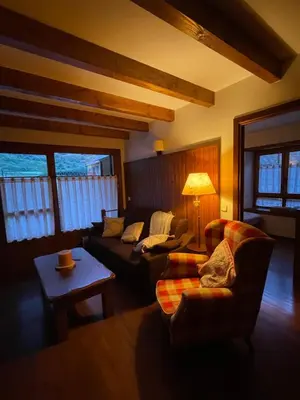 Zona de estar de APARTAMENT ESTERRI D'ÀNEU - EDIFICI MONTARDO