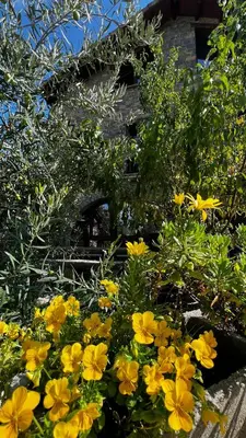 Jardín al aire libre en Apartamentos Lamata