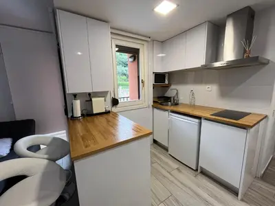 Una cocina o zona de cocina en Apartamento premium Aínsa