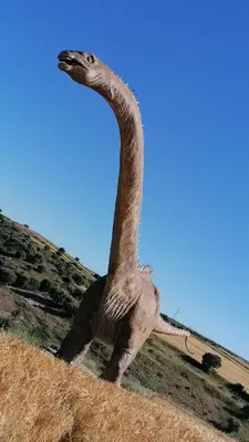 Animales en la casa o chalet o alrededores