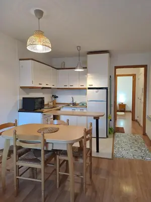Una cocina o zona de cocina en LA GINESTA 3, Apartaments de muntanya