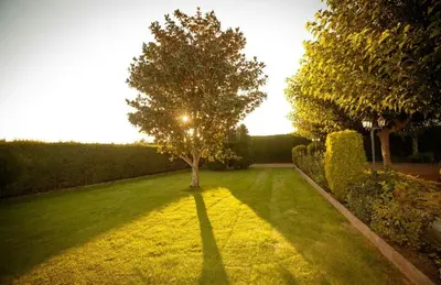 Jardín al aire libre en La Cabana