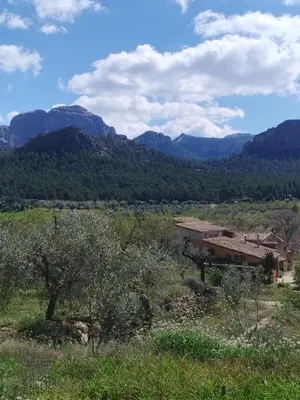 Paisaje cerca de este apartamento