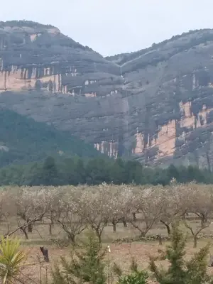 Paisaje cerca de este apartamento