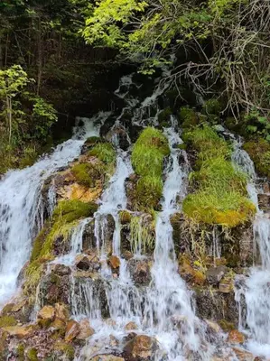 Paisaje cerca de este apartamento
