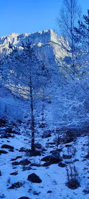 Paisaje cerca de este apartamento