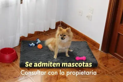 Mascotas con sus dueños en El Balcón de Préjano