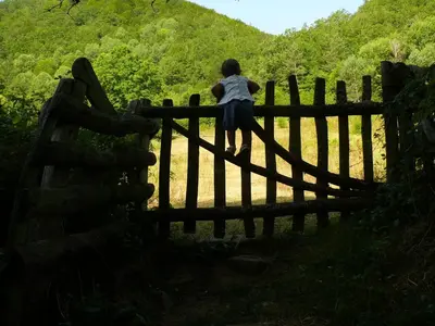 Paisaje cerca de este hostal o pensión