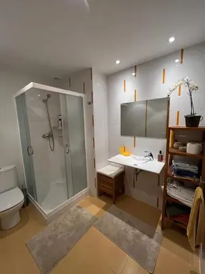 Un baño de La Villa de Herce